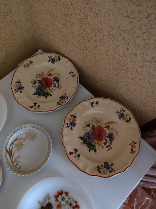 Set di piatti antichi