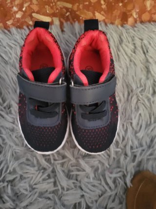Lote Zapatos Bebé Tallas 14-20