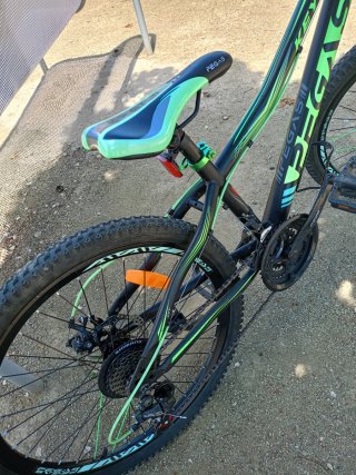 Bicicleta Pegas 24 Negra y Verde
