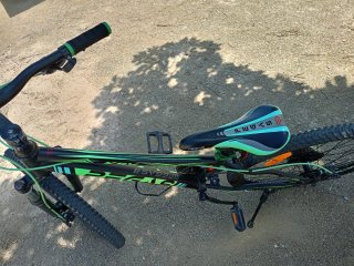 Bicicleta Pegas 24 Negra y Verde