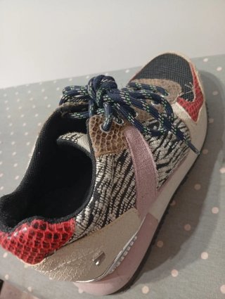 Zapatillas Giossepo Multicolor