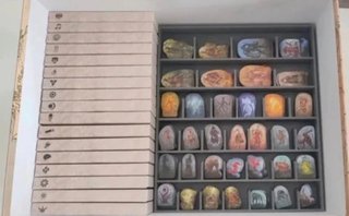 Inserto Gloomhaven