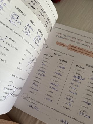 Puente 1er curso Educación Secundaria : ejercic...