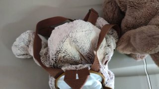 Peluches de Conejo y Ardilla
