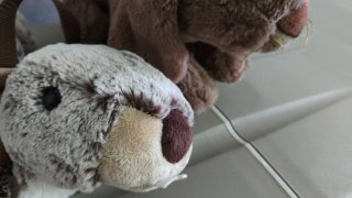 Peluches de Conejo y Ardilla