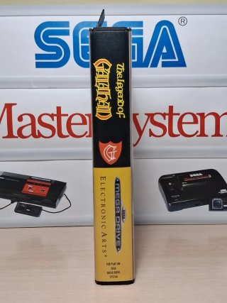 The Legend of Galahad SEGA Mega Drive TOP