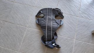 Mochila Porta Bebé BabyBjorn