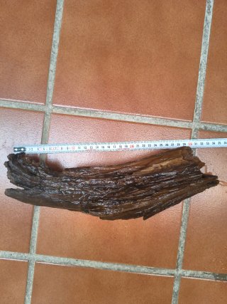 Tronco Madera Acuario Natural