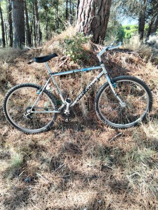 Bicicleta Montaña 26 Buen Estado