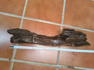 Tronco de madera para acuario