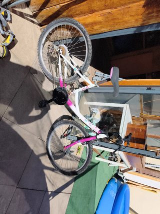 Bicicleta Niña Mediana