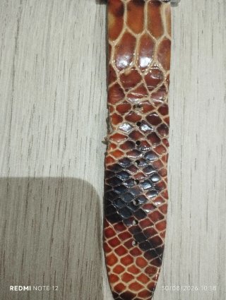 Reloj Pertegaz Correa Piel Marrón