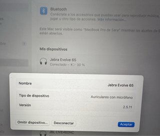 Auriculares Jabra Evolve 65 Bluetooth USB