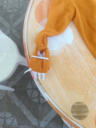 Disfraz de León para Niños (1-3 años)