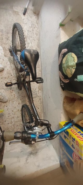 Bicicleta infantil azul