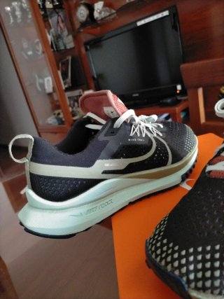 Zapatillas Nike Pegasus Trail Negras/Verdes