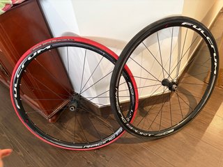 Ruote Fulcrum Racing Sport 30 mm - 6 Viti