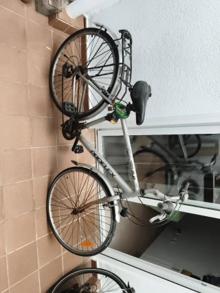 Bicicleta de adulto Proflex