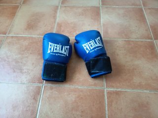 Guantes de Boxeo Everlast Azules