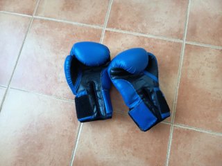 Guantes de Boxeo Everlast Azules