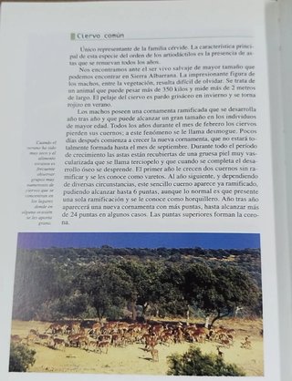 Lote de 2 libros sobre la Sierra Albarrna