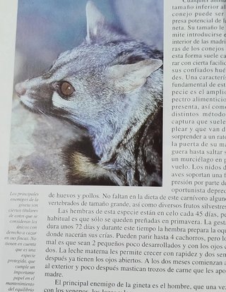 Lote de 2 libros sobre la Sierra Albarrna
