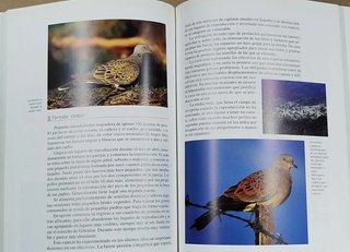 Lote de 2 libros sobre la Sierra Albarrna