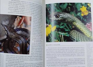 Lote de 2 libros sobre la Sierra Albarrna