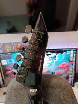 Guitarra ESP LTD M-1000 + ESTUCHE RÍGIDO