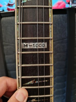 Guitarra ESP LTD M-1000 + ESTUCHE RÍGIDO
