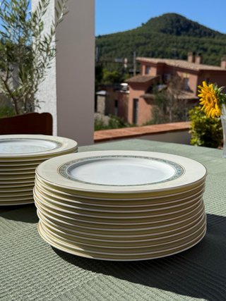 Vajilla de Lujo Heinrich Villeroy & Boch vintage