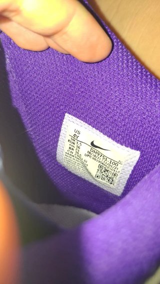 Nike Dunk High Moradas Talla 38