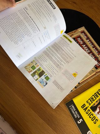 Proxecto: FanFest. Lingua Galega e Literatura 5...