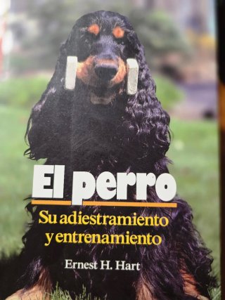 Lote de seis libros sobre perros.