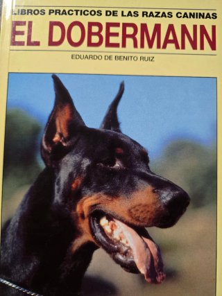 Lote de seis libros sobre perros.