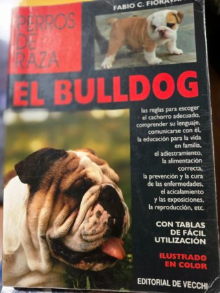 Lote de seis libros sobre perros.
