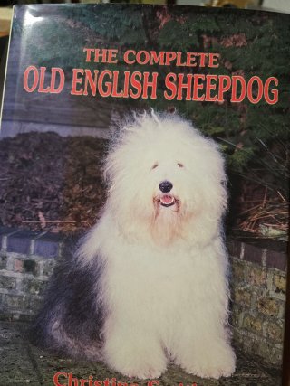 Lote de seis libros sobre perros.