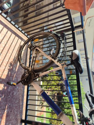 Bicicleta de paseo