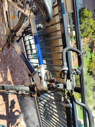 Bicicleta de paseo