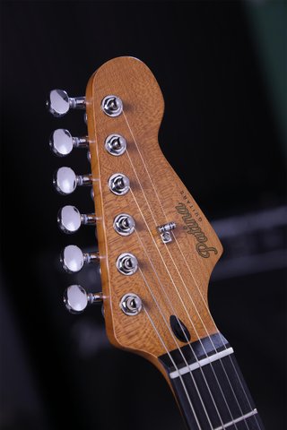 Guitarra Eléctrica Patina PS4-SGR Sherwood Green N