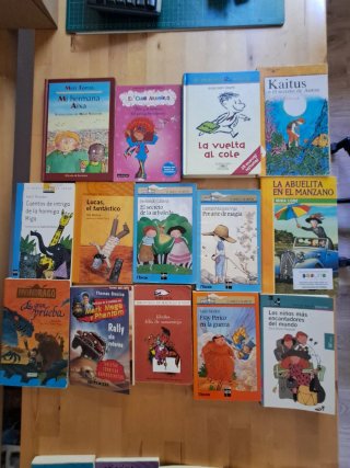 Lote 14 Libros Retro Literatura Infantil y Juvenil
