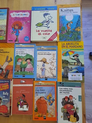 Lote 14 Libros Retro Literatura Infantil y Juvenil