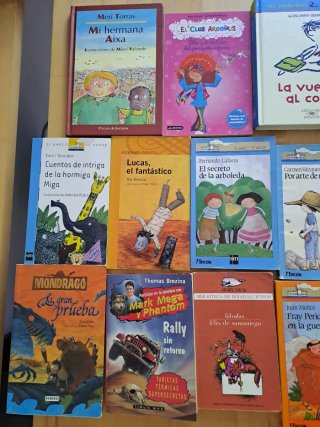 Lote 14 Libros Retro Literatura Infantil y Juvenil
