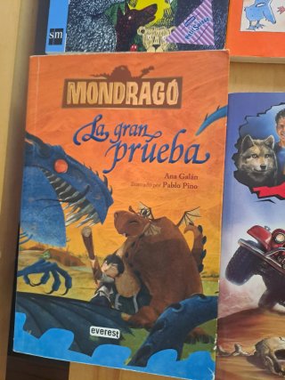 Lote 14 Libros Retro Literatura Infantil y Juvenil