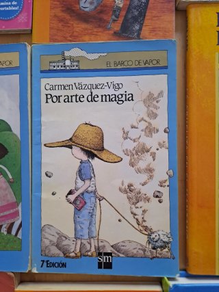 Lote 14 Libros Retro Literatura Infantil y Juvenil
