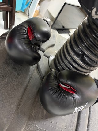 Saco boxeo + 2 guantes Everlast