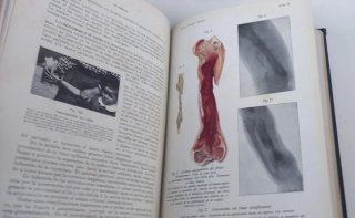 Tratado Enciclopédico de Pediatría