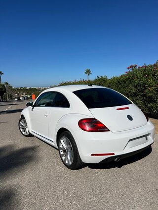 Volkswagen Beetle 2014