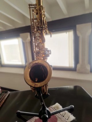 Saxo Alto Lindo