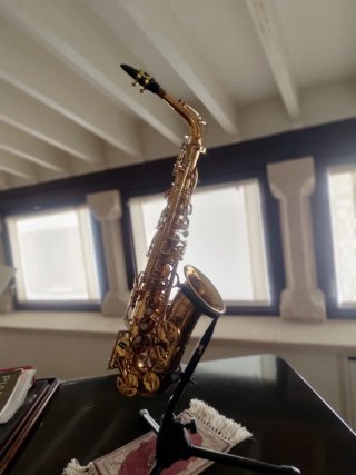 Saxo Alto Lindo